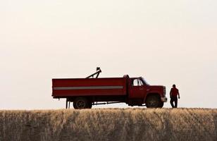 agricultor caminhando em direção ao seu caminhão estacionado foto