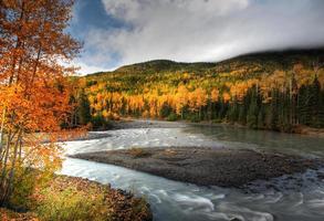 cores do outono ao longo do rio tanzilla no norte da colúmbia britânica foto