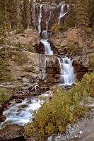 tangle creek cai no parque nacional de jasper foto