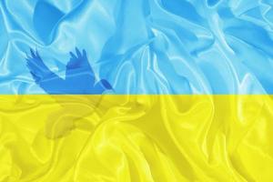 bandeira ucraniana azul e amarela e silhueta da pomba da paz foto