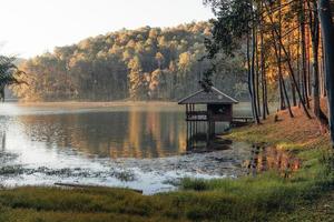 bela natureza lago e floresta pela manhã foto