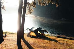 floresta de pinheiros e área de camping pela manhã foto