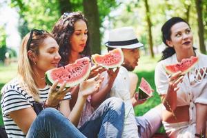 grupo de amigos fazendo piquenique em um parque em um dia ensolarado - pessoas saindo, se divertindo enquanto grelha e relaxa foto