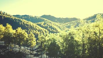 vista na floresta de outono nas montanhas e céu azul da suíça foto