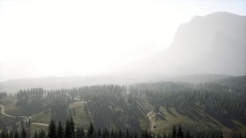 majestosas montanhas com floresta em primeiro plano no canadá foto