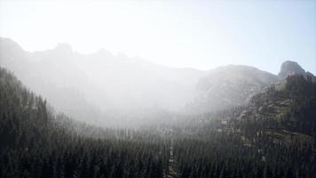 majestosas montanhas com floresta em primeiro plano no canadá foto