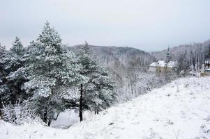 paisagem de inverno. neve cobriu todas as árvores. a neve está nos galhos. foto