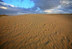 duna de areia em grandes colinas de areia na cênica saskatchewan foto