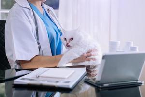 médico veterinário com um gato de três cores nos braços. equipamento médico foto