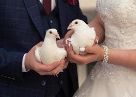 o casal de noivos tem pombas brancas nas mãos. noiva e noivo. foto