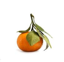 tangerina tangerina fruta isolada no fundo branco foto
