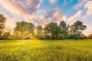 pôr do sol sobre a grama e a paisagem de prados florescendo. fantástica primavera verão paisagem rural, bela natureza cênica. vista colorida, céu de nuvens de sonho foto