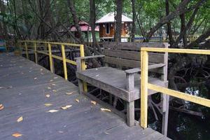 cadeiras de pau-ferro para turistas descansando no parque turístico da floresta de mangue foto