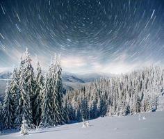 laticínios star trek na floresta de inverno. cena dramática e pitoresca. antecipando o feriado. foto