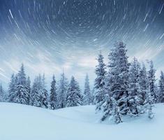 céu estrelado na noite de inverno nevado. fantástica via láctea na véspera de ano novo. antecipando o feriado. cena dramática. cárpato. Ucrânia foto