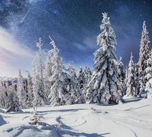 céu estrelado na noite de inverno nevado. fantástica via láctea na véspera de ano novo. antecipando o feriado. cena dramática. cárpato. Ucrânia foto