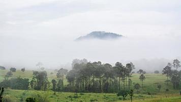 bela paisagem florestal no parque nacional thung salaeng luang na província de phitsanulok, na tailândia. savana no parque nacional da tailândia chamado thung salaeng luan foto