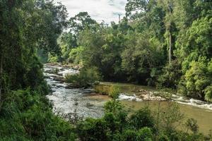 paisagem de riachos e florestas foto