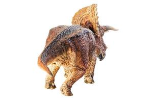 triceratops, dinossauro em fundo branco. foto