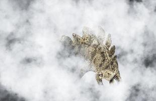 estegossauro, dinossauro em fundo de fumaça foto