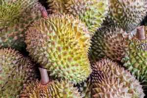 fruta durian fresca e fedorenta. mercado de bangrak em koh samui, tailândia. foto