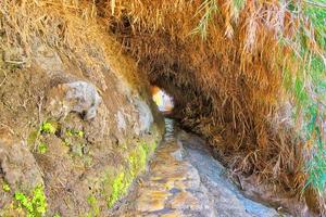 parque nacional ein gedi em israel foto