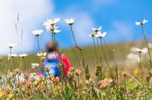 pessoa turva atrás de flores em um prado enquanto há excursão na natureza foto