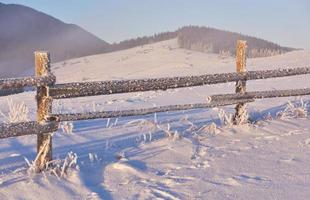 misteriosa paisagem de inverno majestosas montanhas no inverno. árvore mágica coberta de neve de inverno. cartão de foto. cárpato. Ucrânia foto