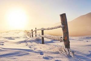 misteriosa paisagem de inverno majestosas montanhas no inverno. árvore mágica coberta de neve de inverno. cartão de foto. cárpato. Ucrânia foto