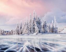 misteriosa paisagem de inverno majestosas montanhas no inverno. árvore mágica coberta de neve de inverno. cartão de foto. efeito de luz bokeh, filtro suave. foto