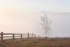 manhã de neblina nas montanhas dos cárpatos ucranianos na temporada de outono foto