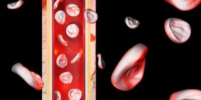 camada de pele células vermelhas do sangue veia cirurgia vascular ilustração 3d foto