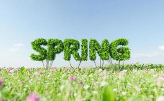 sinal de arbusto com a palavra primavera em um prado foto