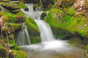 cascata verdejante nas montanhas foto