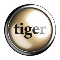 palavra tigre no botão isolado foto