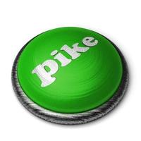 palavra pique no botão verde isolado no branco foto