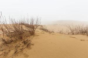 barkhan sarykum. Daguestão, Rússia. montanha de areia no cáucaso. duna. foto