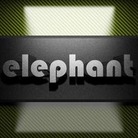 palavra elefante de ferro em carbono foto