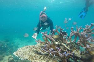 mulher feliz mergulhando debaixo d'água e posando com um recife de coral e peixes foto