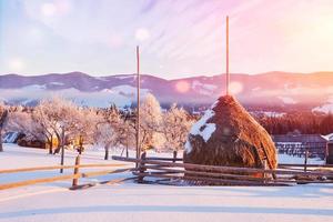 montanhas incríveis à luz do sol da manhã. pequena aldeia acolhedora. Cárpatos, Ucrânia, Europa. mundo da beleza. feliz Ano Novo foto
