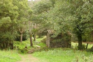 pequena casa de pedra no campo foto