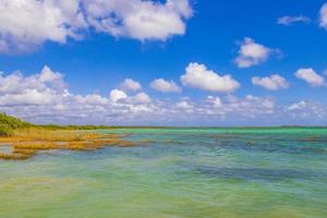 muyil lagoa panorama visualize paisagem natureza turquesa água mexico. foto