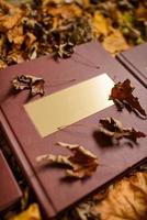 livro marrom de couro com uma placa de ouro sobre um fundo de folhas marrons. lugar para texto. livro de fotos de casamento.