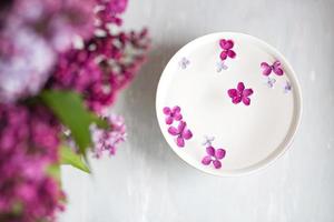 flor lilás de cinco pontas entre flores lilás em um copo com água. ramo lilás com uma flor com 5 pétalas. foto