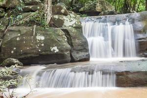 close up cachoeira da floresta verde foto