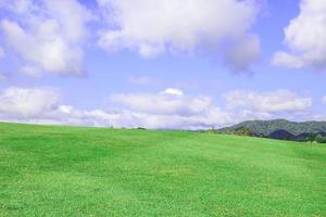 fundo de grama verde do céu azul foto
