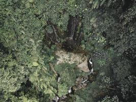 vista aérea da cachoeira dentro do vale da selva na indonésia foto
