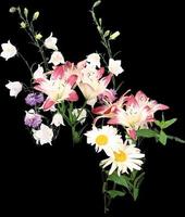 flores padrão design floral fundo tropical botânico transparente foto
