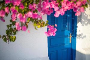 arquitetura cicládica branca com porta azul e flores cor de rosa de buganvílias na ilha de santorini, grécia. foto