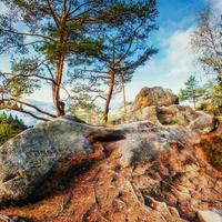 enorme pedra na área da floresta. fantástico dia de sol foto